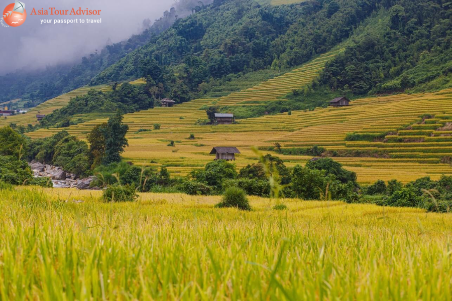 Sapa Spring Festival Tour