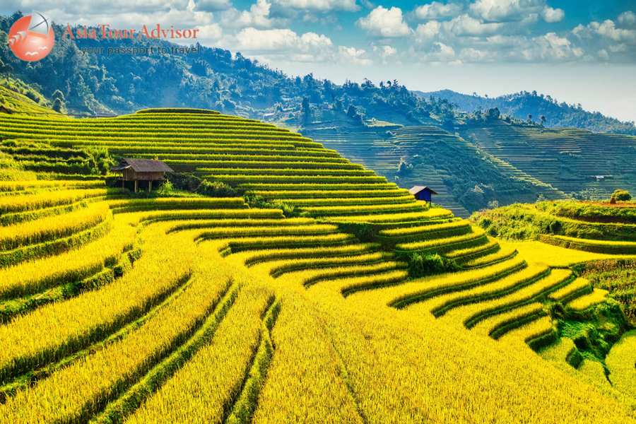 Vietnam Express